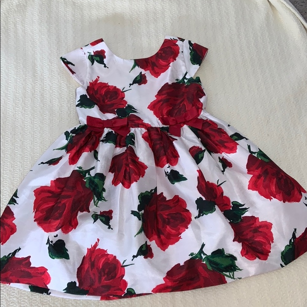 Girls rose print dress. Special occasion
